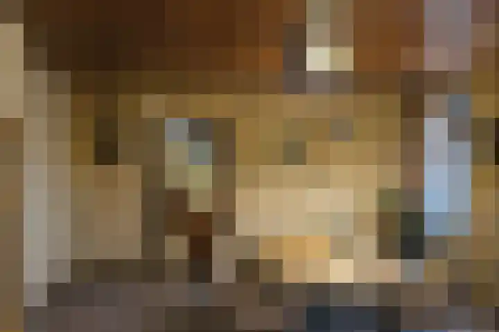 Poeldonk 32 Den Dungen thumbnail 12