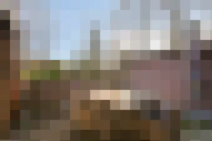 Poeldonk 32 Den Dungen thumbnail 14