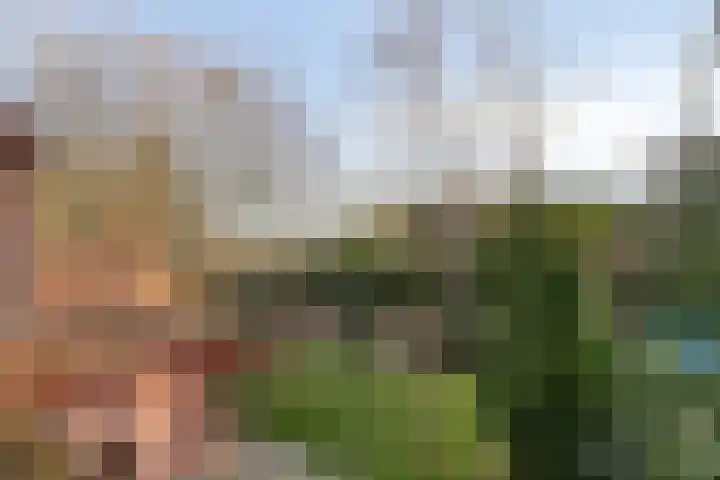 Poeldonk 32 Den Dungen thumbnail 17