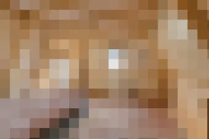Poeldonk 32 Den Dungen thumbnail 19