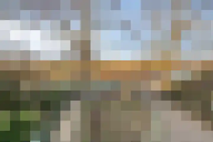 Poeldonk 32 Den Dungen thumbnail 22