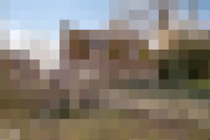 Poeldonk 32 Den Dungen thumbnail 4