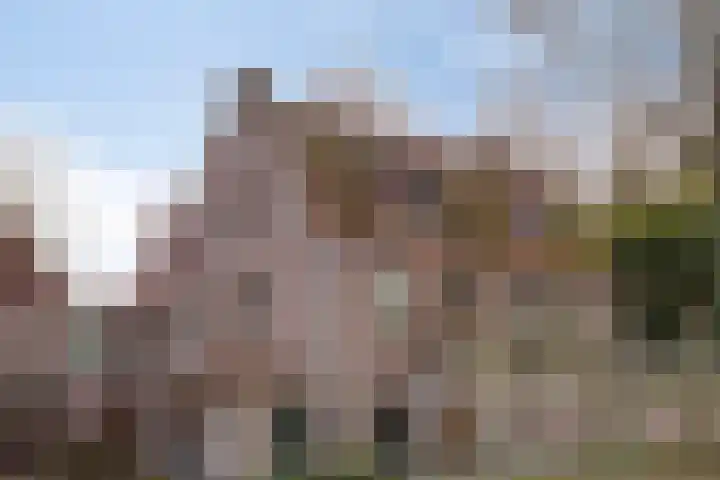 Poeldonk 32 Den Dungen thumbnail 5