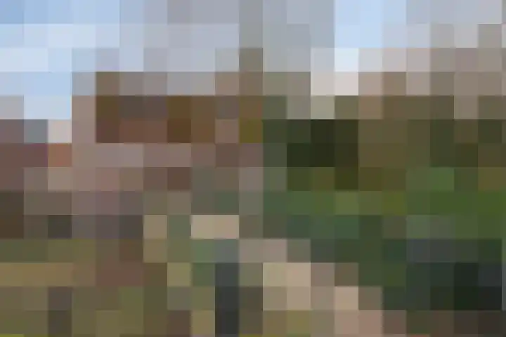 Poeldonk 32 Den Dungen thumbnail 6