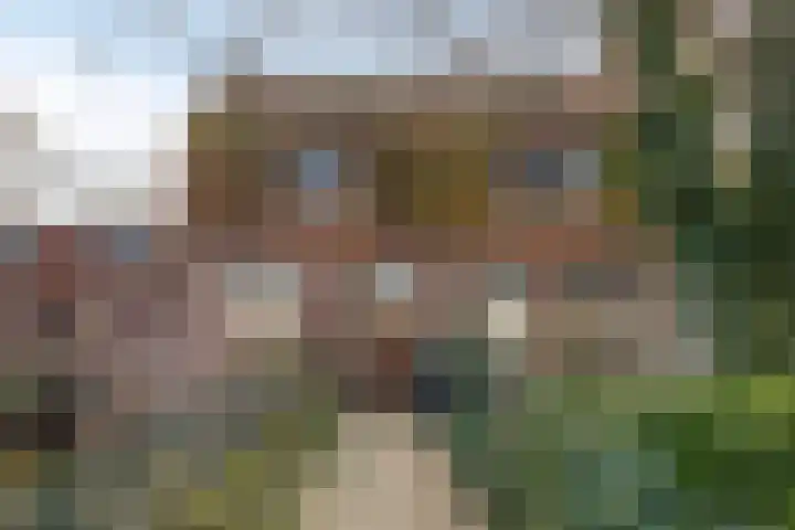 Poeldonk 32 Den Dungen thumbnail 7