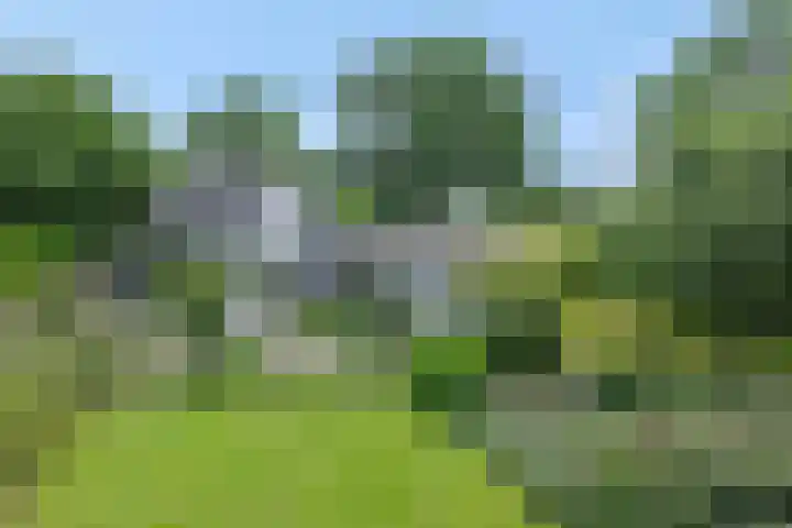 Poeldonksedijk 19 Den Dungen