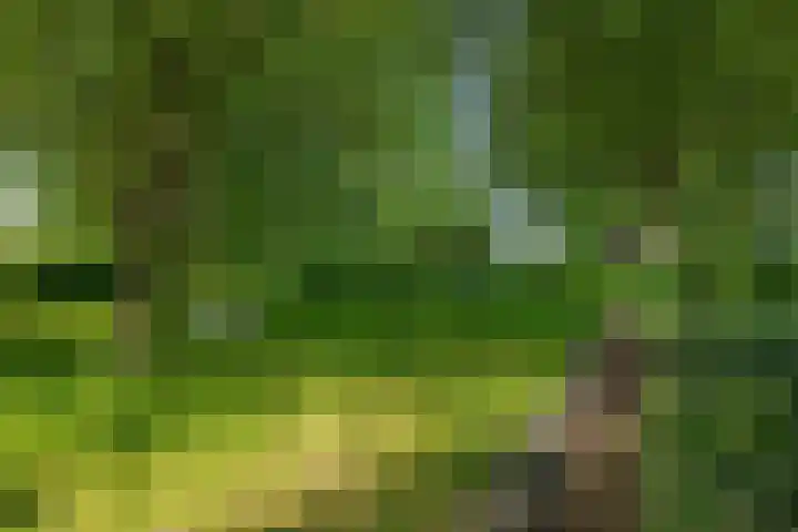 Poeldonksedijk 19 Den Dungen thumbnail 10