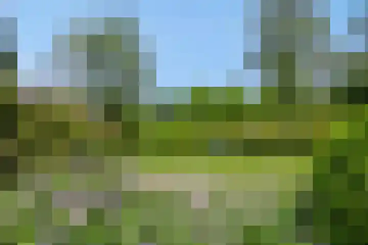 Poeldonksedijk 19 Den Dungen thumbnail 11
