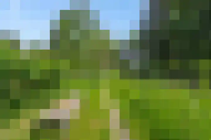 Poeldonksedijk 19 Den Dungen thumbnail 12