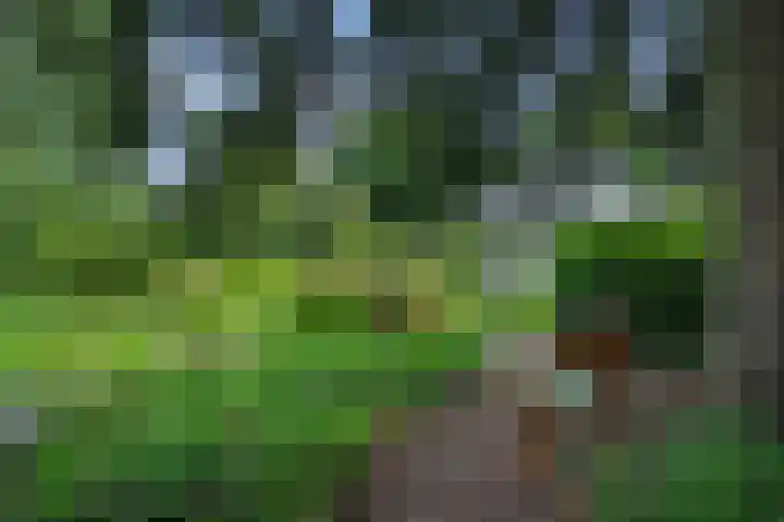 Poeldonksedijk 19 Den Dungen thumbnail 13
