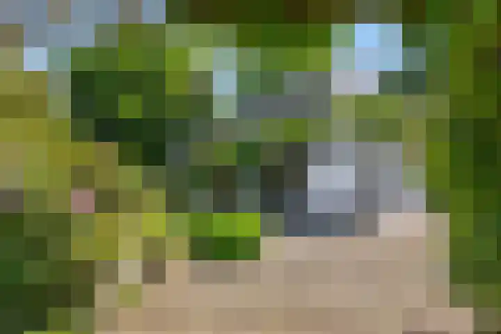 Poeldonksedijk 19 Den Dungen thumbnail 15