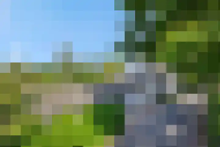 Poeldonksedijk 19 Den Dungen thumbnail 16