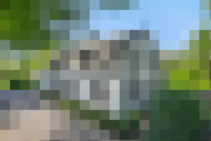 Poeldonksedijk 19 Den Dungen thumbnail 17