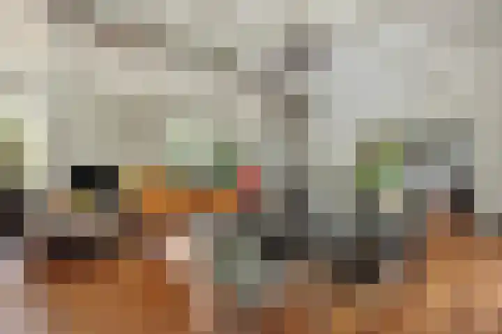 Poeldonksedijk 19 Den Dungen thumbnail 20