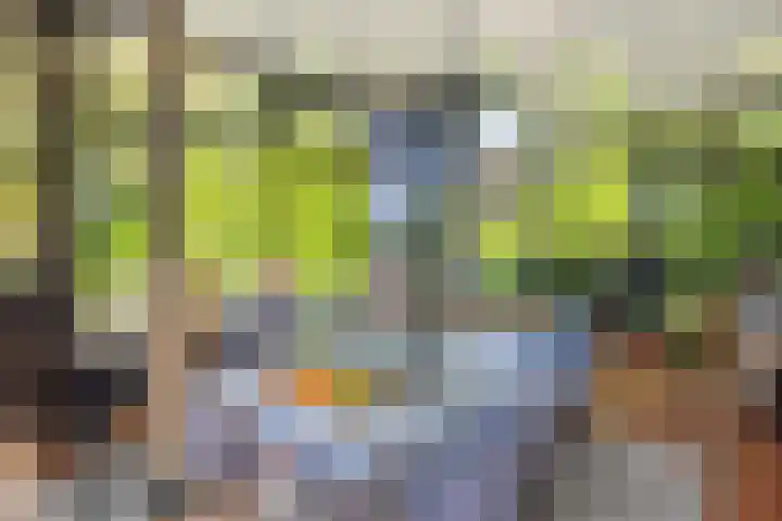Poeldonksedijk 19 Den Dungen thumbnail 24