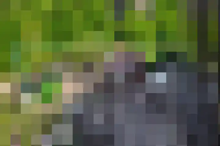 Poeldonksedijk 19 Den Dungen thumbnail 27
