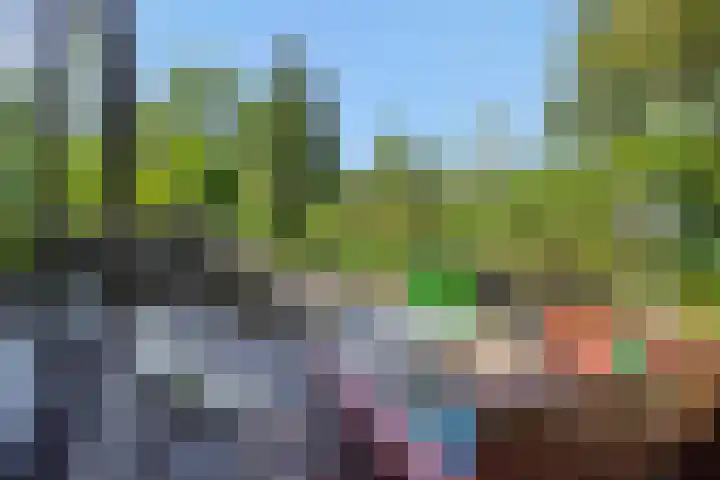 Poeldonksedijk 19 Den Dungen thumbnail 28