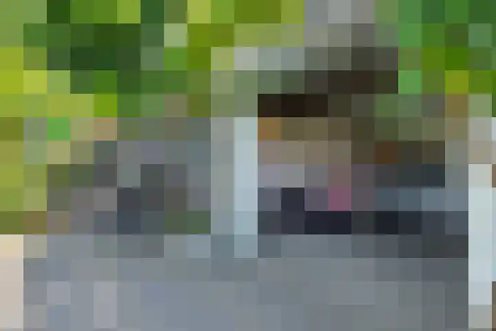 Poeldonksedijk 19 Den Dungen thumbnail 29