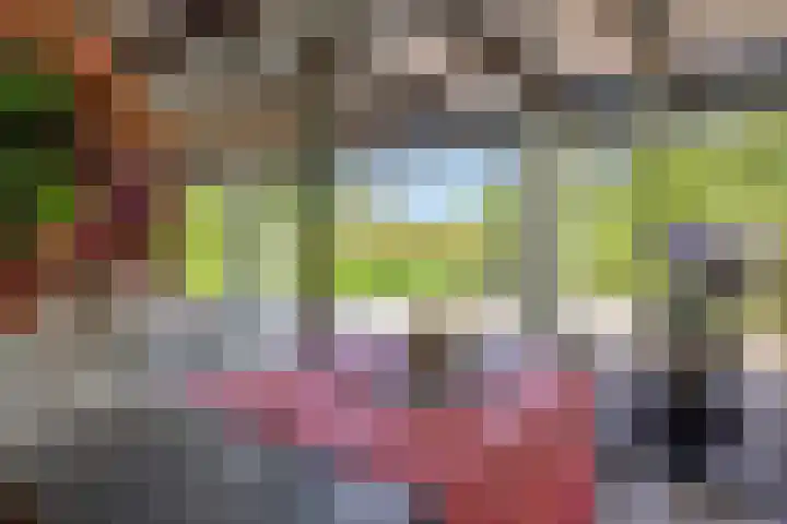 Poeldonksedijk 19 Den Dungen thumbnail 30