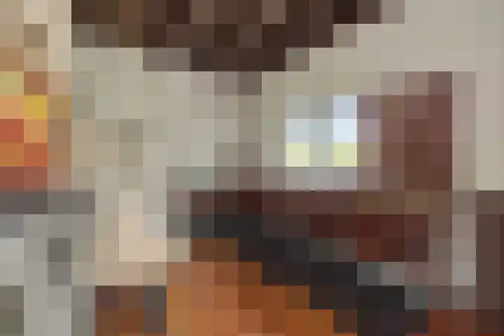 Poeldonksedijk 19 Den Dungen thumbnail 32