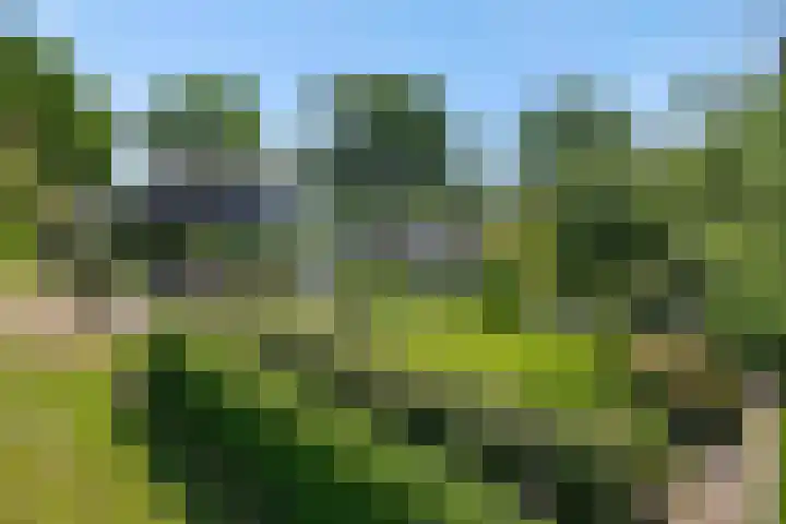 Poeldonksedijk 19 Den Dungen thumbnail 4