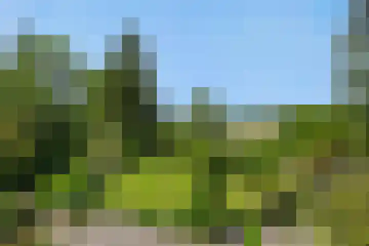 Poeldonksedijk 19 Den Dungen thumbnail 5