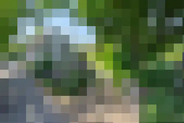 Poeldonksedijk 19 Den Dungen thumbnail 55