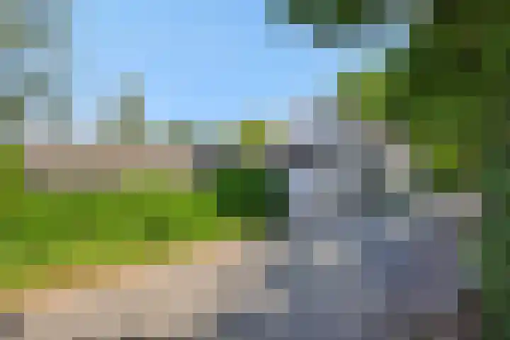 Poeldonksedijk 19 Den Dungen thumbnail 58