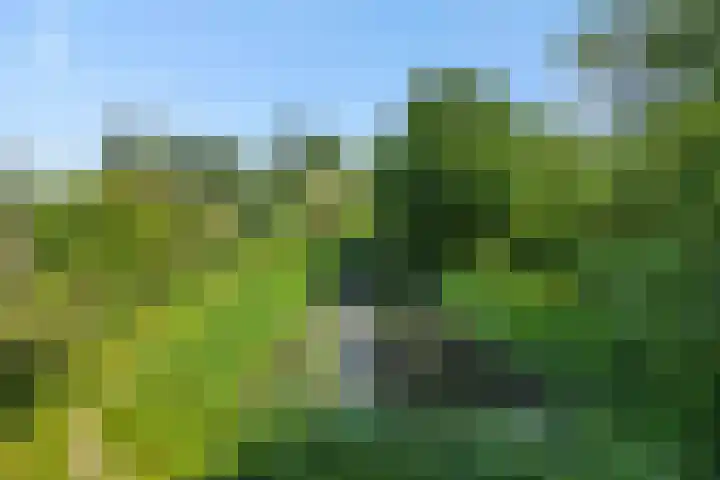 Poeldonksedijk 19 Den Dungen thumbnail 7
