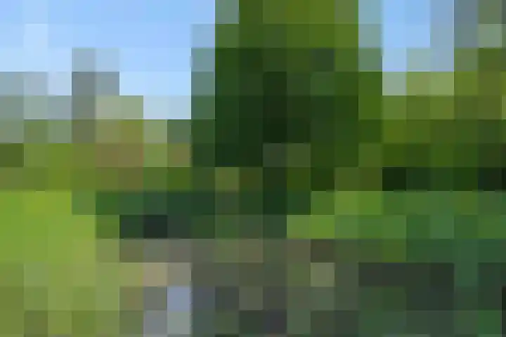 Poeldonksedijk 19 Den Dungen thumbnail 8
