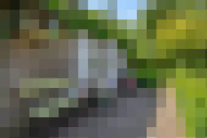 Poeldonksedijk 19 Den Dungen thumbnail 9