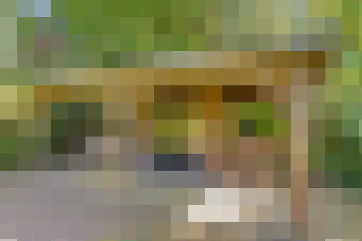 Poeldonksedijk 20 Den Dungen thumbnail 10