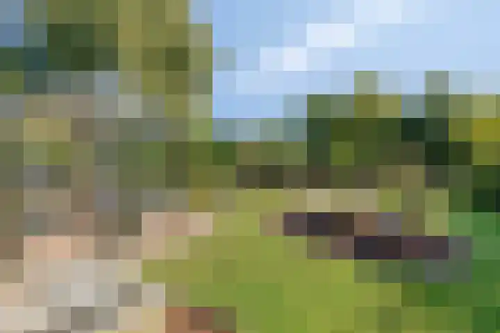 Poeldonksedijk 20 Den Dungen thumbnail 11