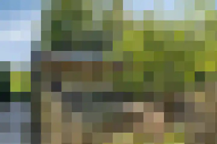Poeldonksedijk 20 Den Dungen thumbnail 12