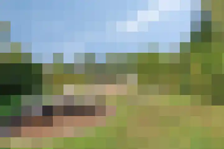 Poeldonksedijk 20 Den Dungen thumbnail 13