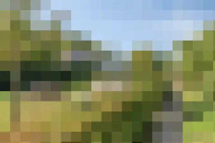 Poeldonksedijk 20 Den Dungen thumbnail 14