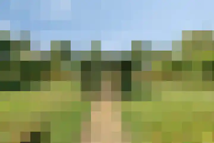 Poeldonksedijk 20 Den Dungen thumbnail 15