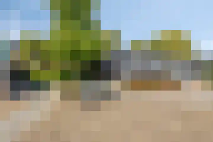 Poeldonksedijk 20 Den Dungen thumbnail 16