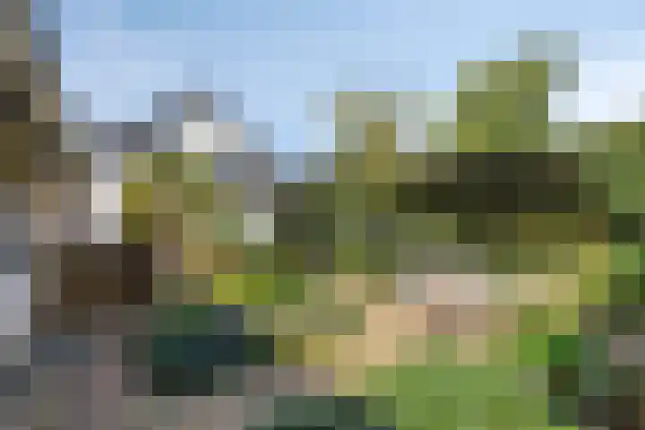 Poeldonksedijk 20 Den Dungen thumbnail 17
