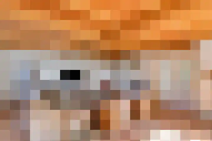 Poeldonksedijk 20 Den Dungen thumbnail 23