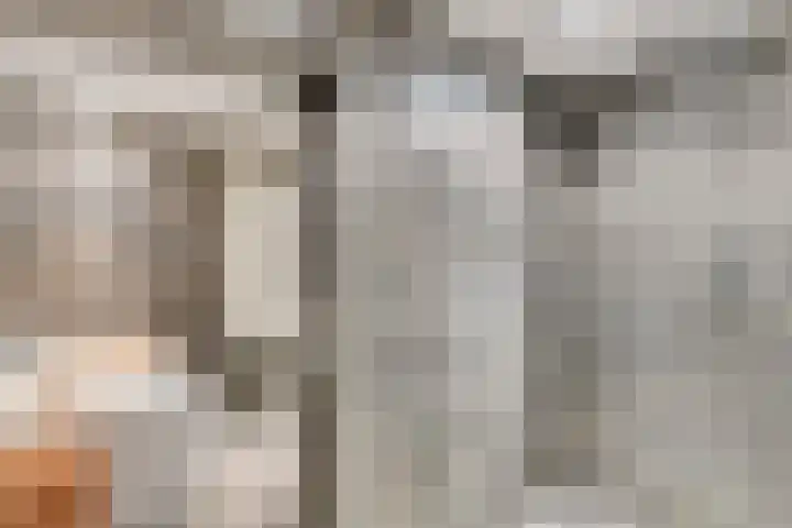 Poeldonksedijk 20 Den Dungen thumbnail 31