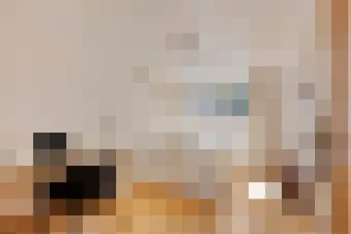 Poeldonksedijk 20 Den Dungen thumbnail 39