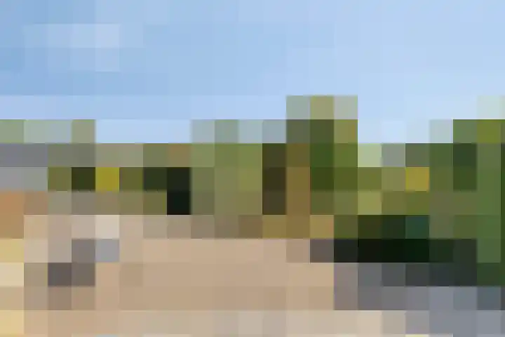 Poeldonksedijk 20 Den Dungen thumbnail 4
