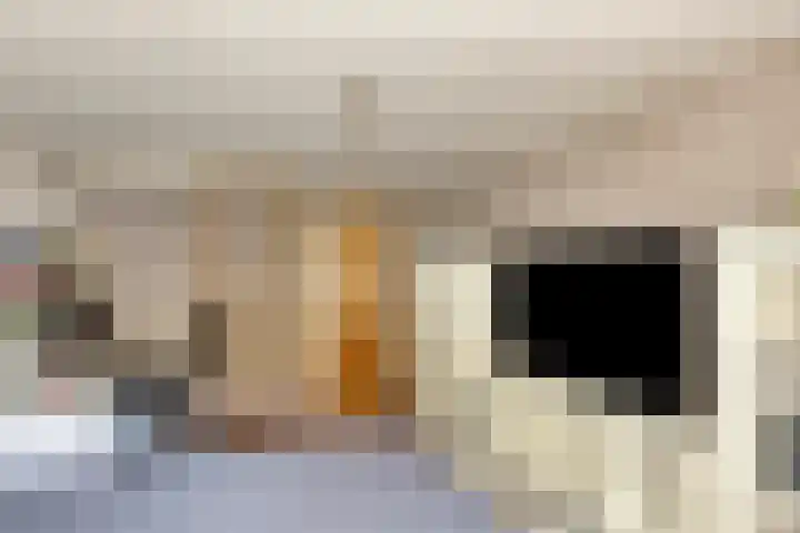 Poeldonksedijk 20 Den Dungen thumbnail 42
