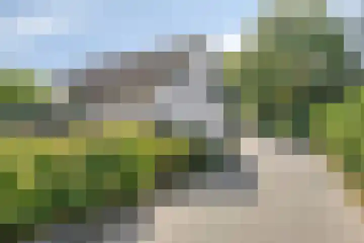 Poeldonksedijk 20 Den Dungen thumbnail 44