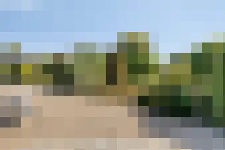Poeldonksedijk 20 Den Dungen thumbnail 5