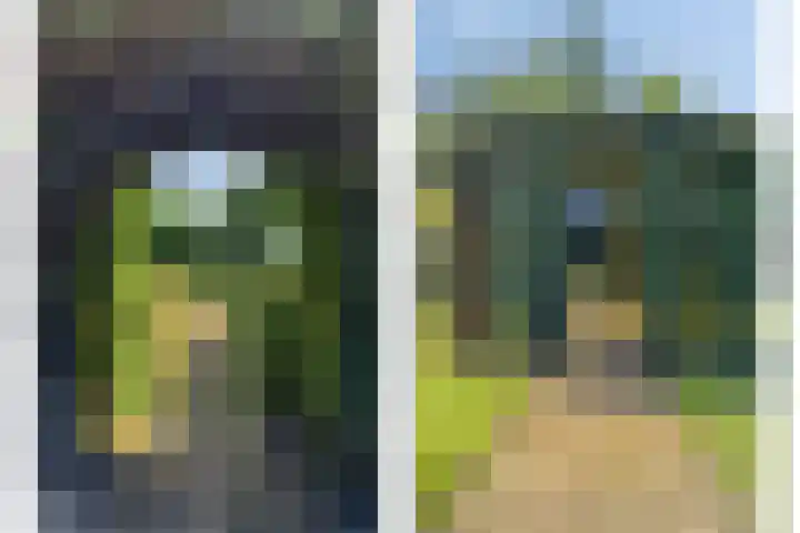 Poeldonksedijk 20 Den Dungen thumbnail 7