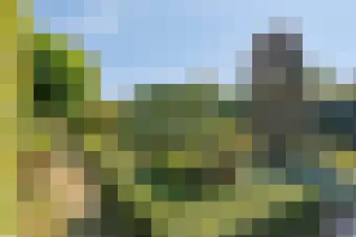 Poeldonksedijk 20 Den Dungen thumbnail 8