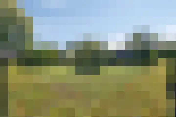 Poeldonksedijk 20 Den Dungen thumbnail 9