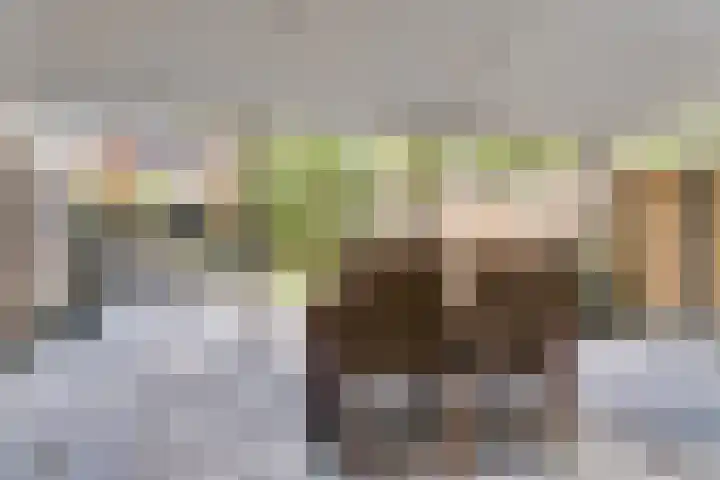 Poeldrik 120 Bemmel thumbnail 23